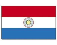 Paraguay Stockflagge 30*45 cm