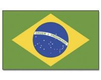 Brasilien Stockflagge 30*45 cm