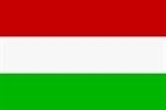 Ungarn Flagge 60*90cm