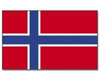 Norwegen Stockflagge 30*45 cm