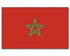 Marokko Stockflagge 30*45 cm