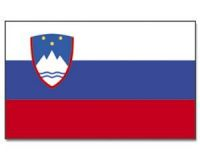 Slowenien Stockflagge 30*45 cm