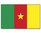 Kamerun Flagge 90*150 cm