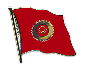 Kirgistan Flaggenpin ca. 20 mm