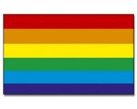 Regenbogen  Flagge 90*150 cm