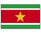Surinam Flagge 90*150 cm