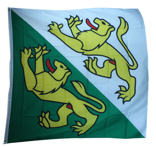 Thurgau Flagge 120*120 cm