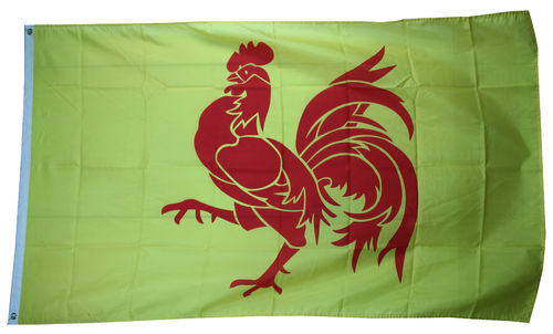 Wallonien Flagge 90*150 cm