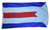 Besatzungszone 1946-1950 Flagge 90*150 cm