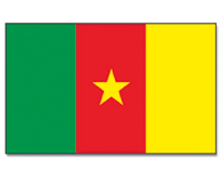 Outdoor-Hissflagge Kamerun 90*150 cm