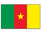 Outdoor-Hissflagge Kamerun 90*150 cm