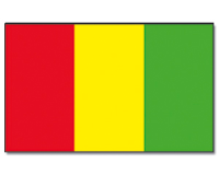Outdoor-Hissflagge Guinea 90*150 cm