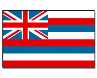 Outdoor-Hissflagge Hawaii 90*150 cm