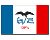 Outdoor-Hissflagge Iowa 90*150 cm