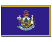 Outdoor-Hissflagge Maine 90*150 cm