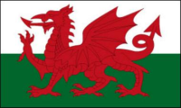 Outdoor-Hissflagge Wales 90*150 cm