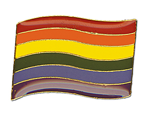Pin: Rainbow Flagge geschwungen 24 mm