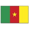 Kamerun Flagge 60*90cm