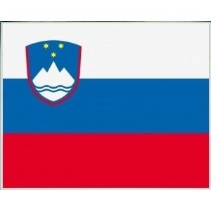 Slowenien Flagge 60*90cm