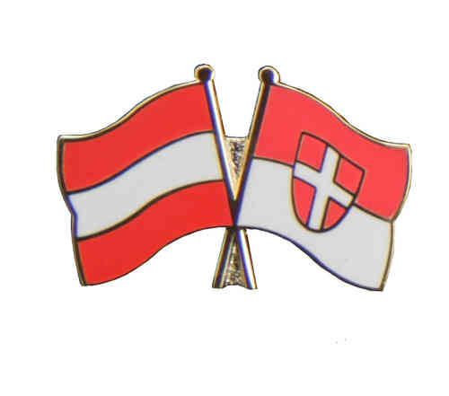 Österreich - Wien Freundschaftspin