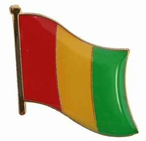 Guinea Flaggenpin