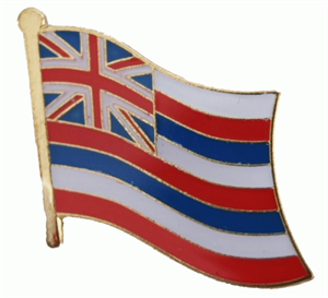 Hawaii Flaggenpin