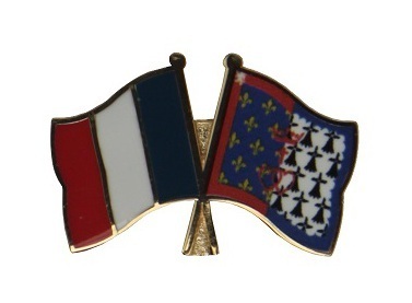 Frankreich - Pays de la Loire Freundschaftspin