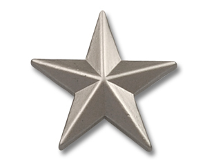 Pin Silberner Stern matt 15 mm