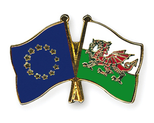 Freundschaftspin Europa - Wales